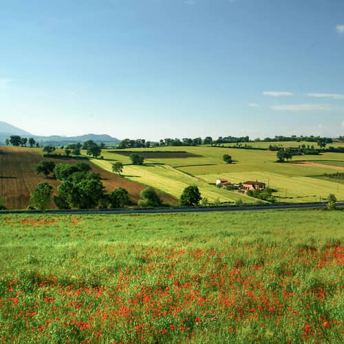 Parkhotel Perugia Dintorni 04